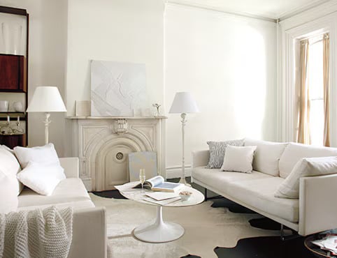 Photo of Neutra Living Room