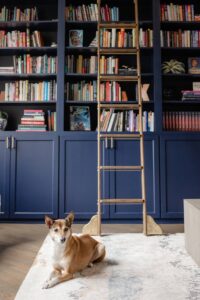 Photo of a book shelves