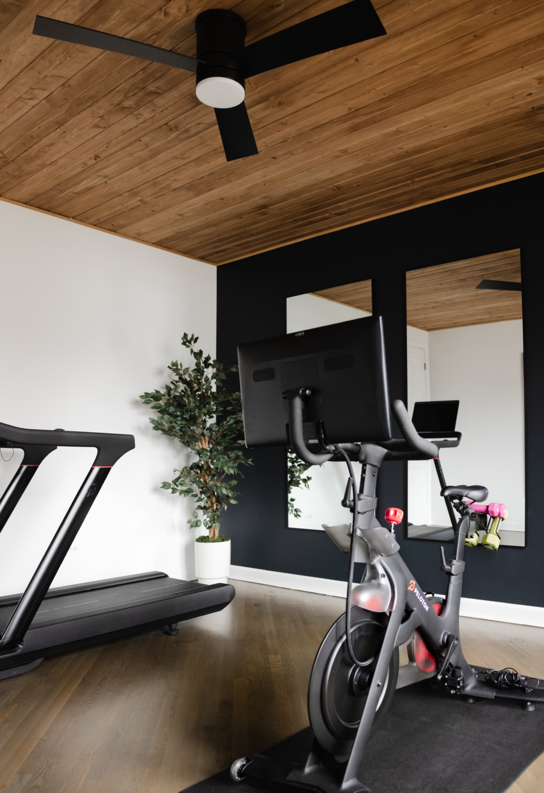Home gym with a wood-slatted ceiling, black feature wall and full-height mirrors, designed by Dara Agruss Design